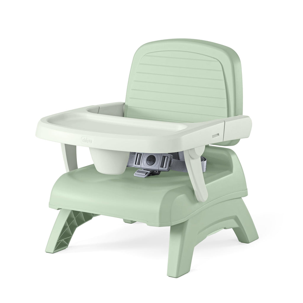 3-in-1 Portable Booster Seat Y7608
