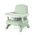 3-in-1 Portable Booster Seat Y7608