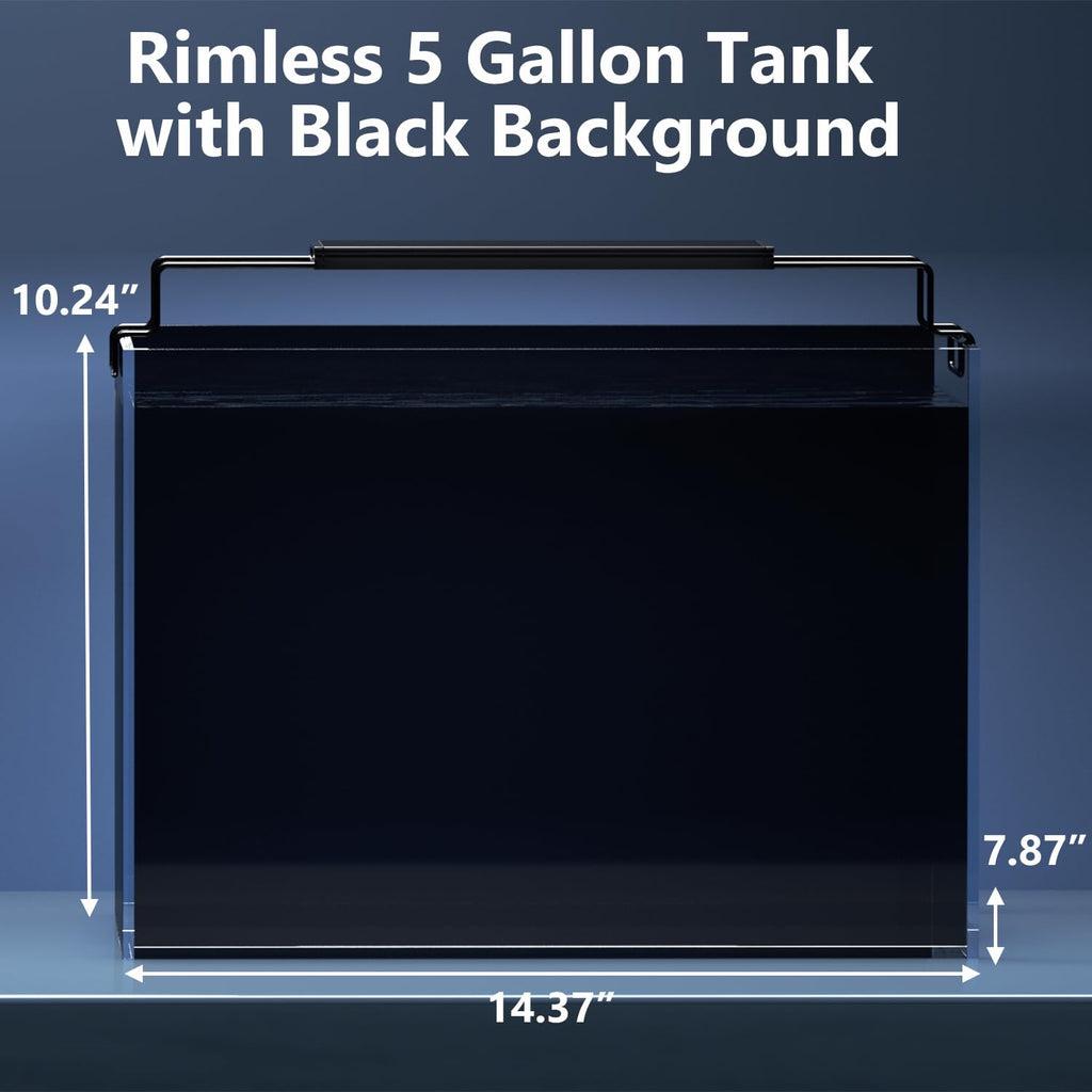 5 Gallon Glass Fish Tank Kit with Filter Light R9211