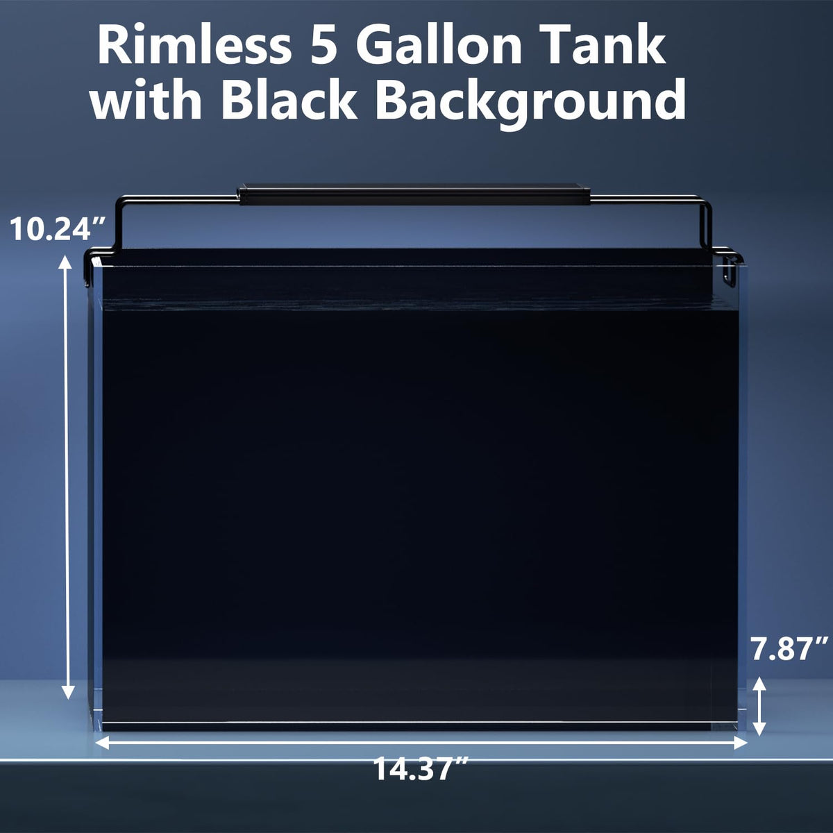 5 Gallon Glass Fish Tank Kit with Filter Light R9211