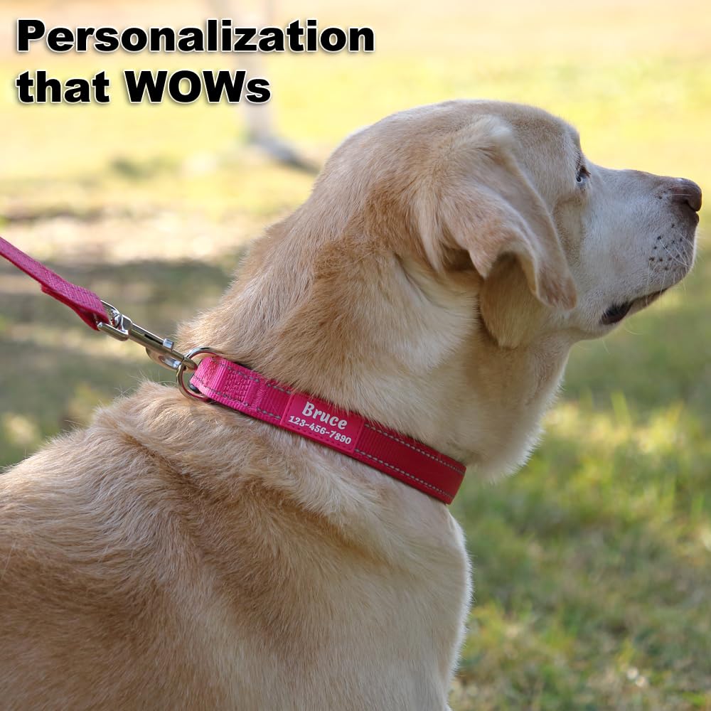 Personalized Dog Collars for Small Medium Dogs G686025