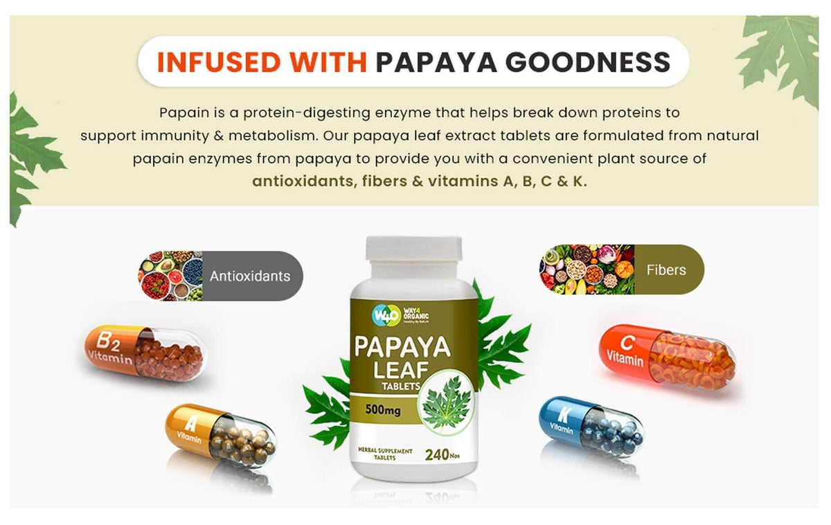 Papaya Leaf Extract 500 mg 240 Capsules M19415