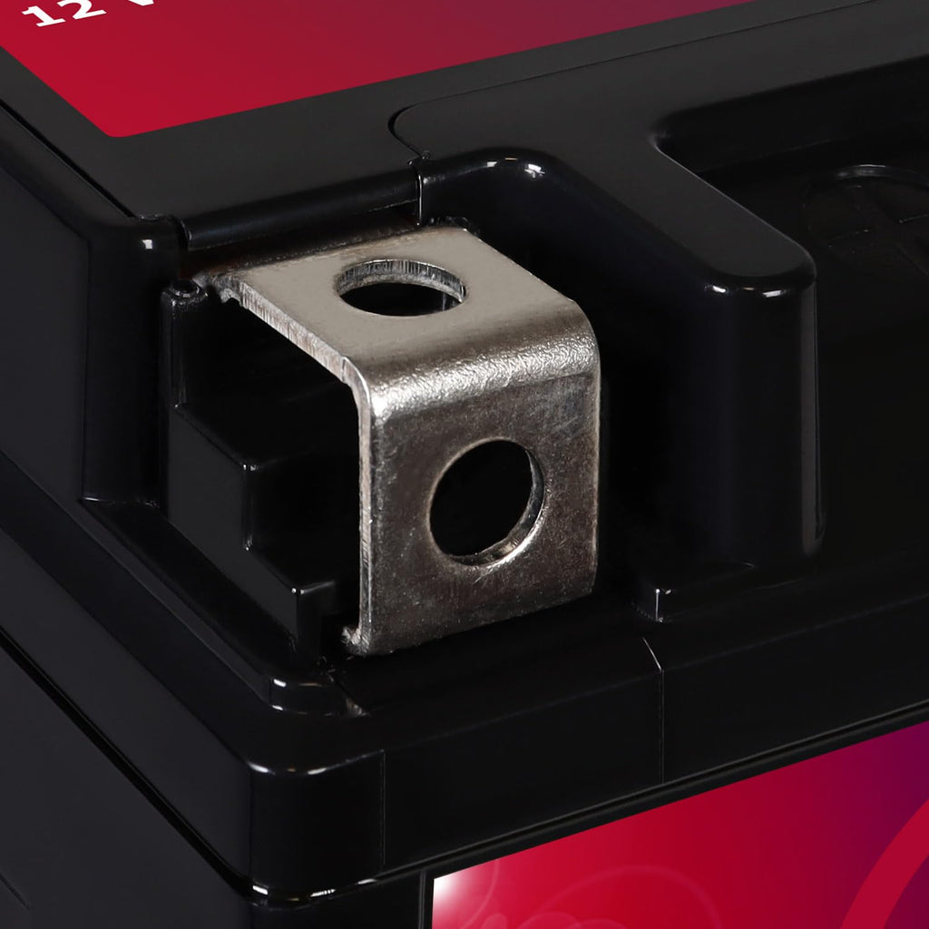 12v 11.2Ah 230CCA Battery W129