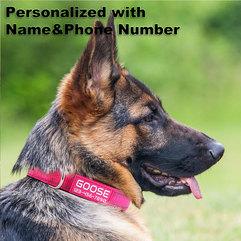 Personalized Dog Collars for Small Medium Dogs G686025