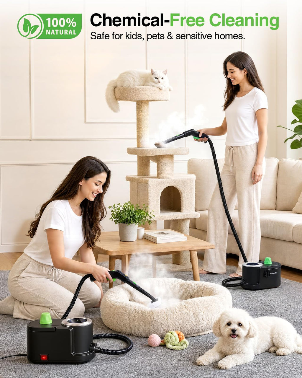 High Pressure Steam Cleaner G432107