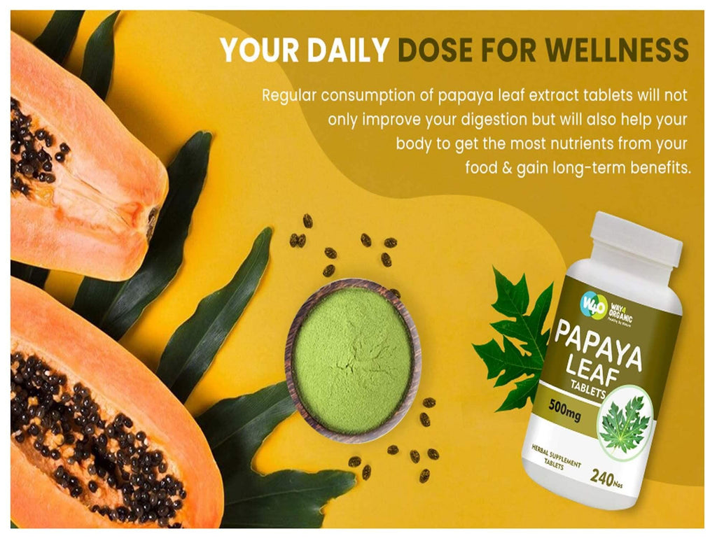 Papaya Leaf Extract 500 mg 240 Capsules M19415