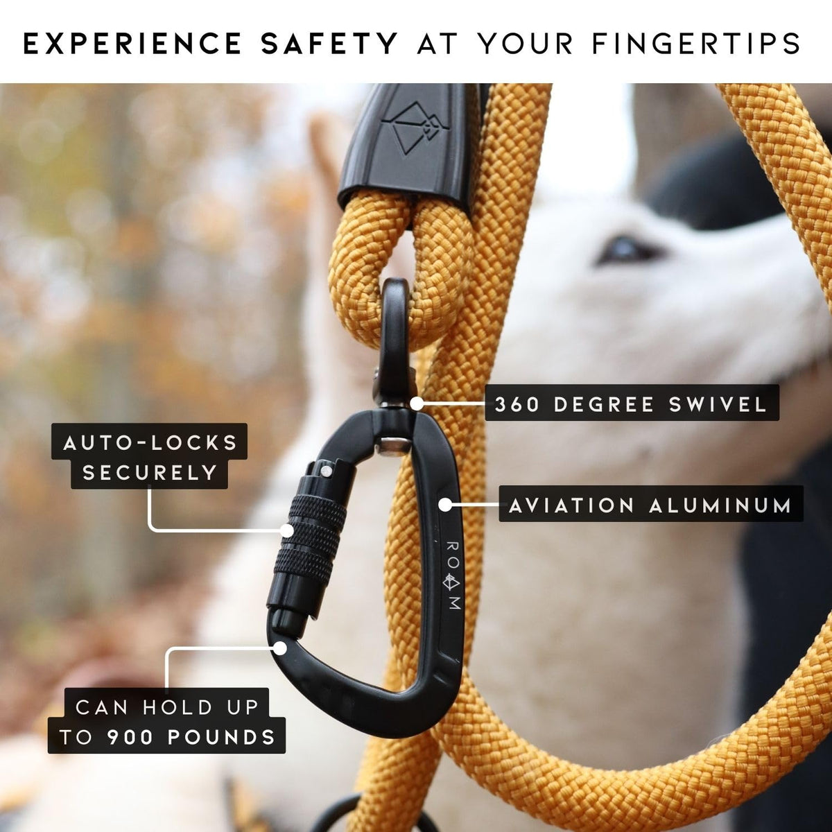 Climbing Rope Leash with Autolocking Carabiner, 6ft A594379