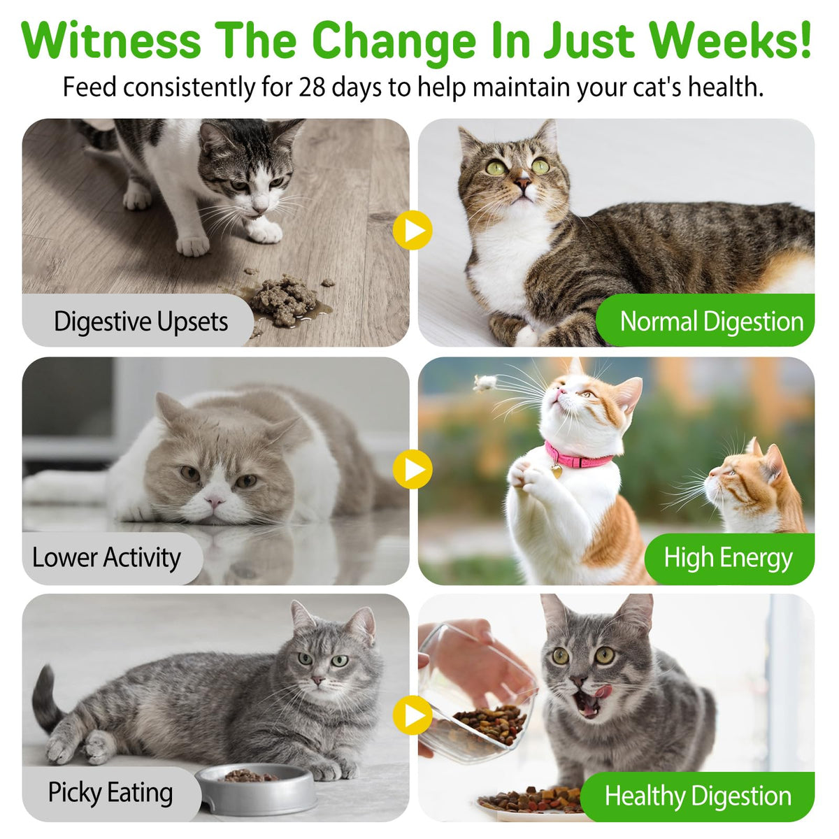Chicken Flavor Hairball Treatment for Cats O685490