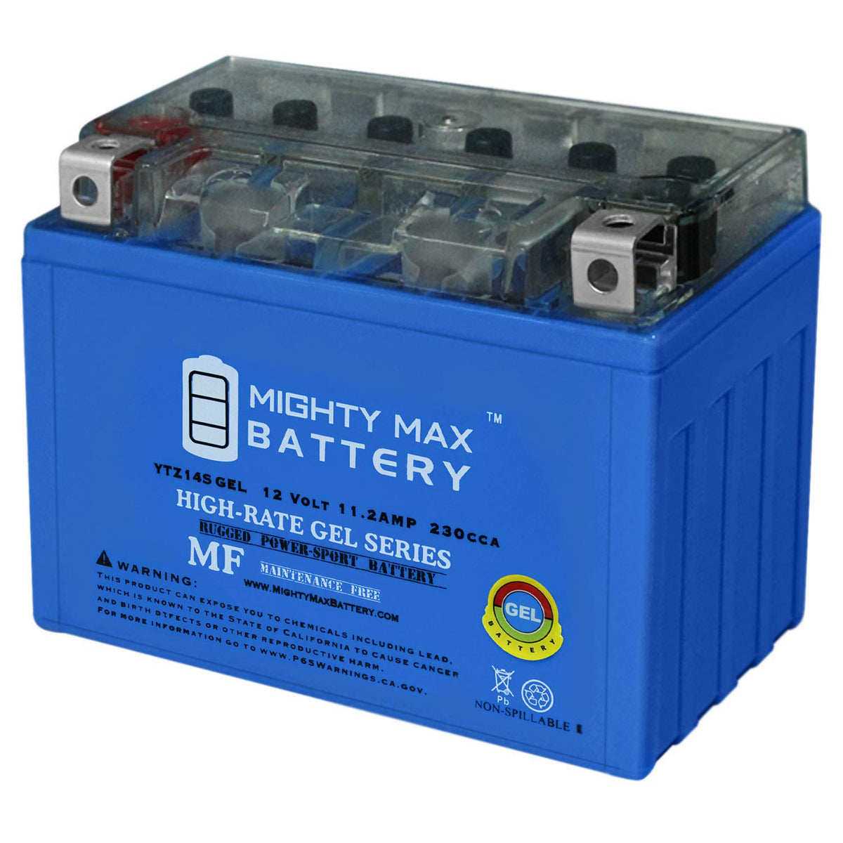YTZ14S GEL Battery F301199