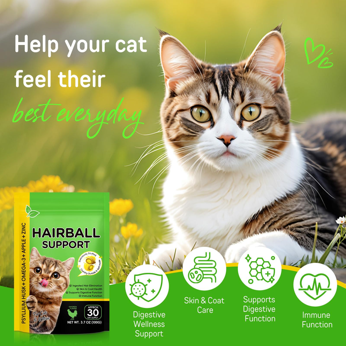 Chicken Flavor Hairball Treatment for Cats O685490