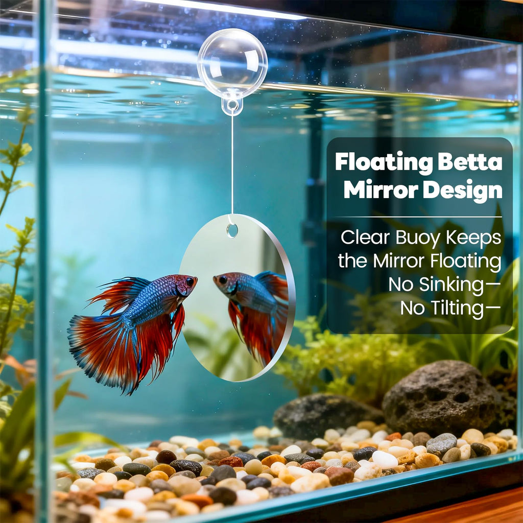 Betta Fish Tunnel Hammock Mirror Floating Ball 2 Training Ring Toys P392166