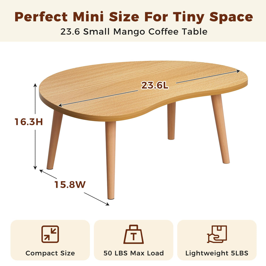 Low Oval Japanese Floor Coffee Table with Solid Wood Legs Z96786