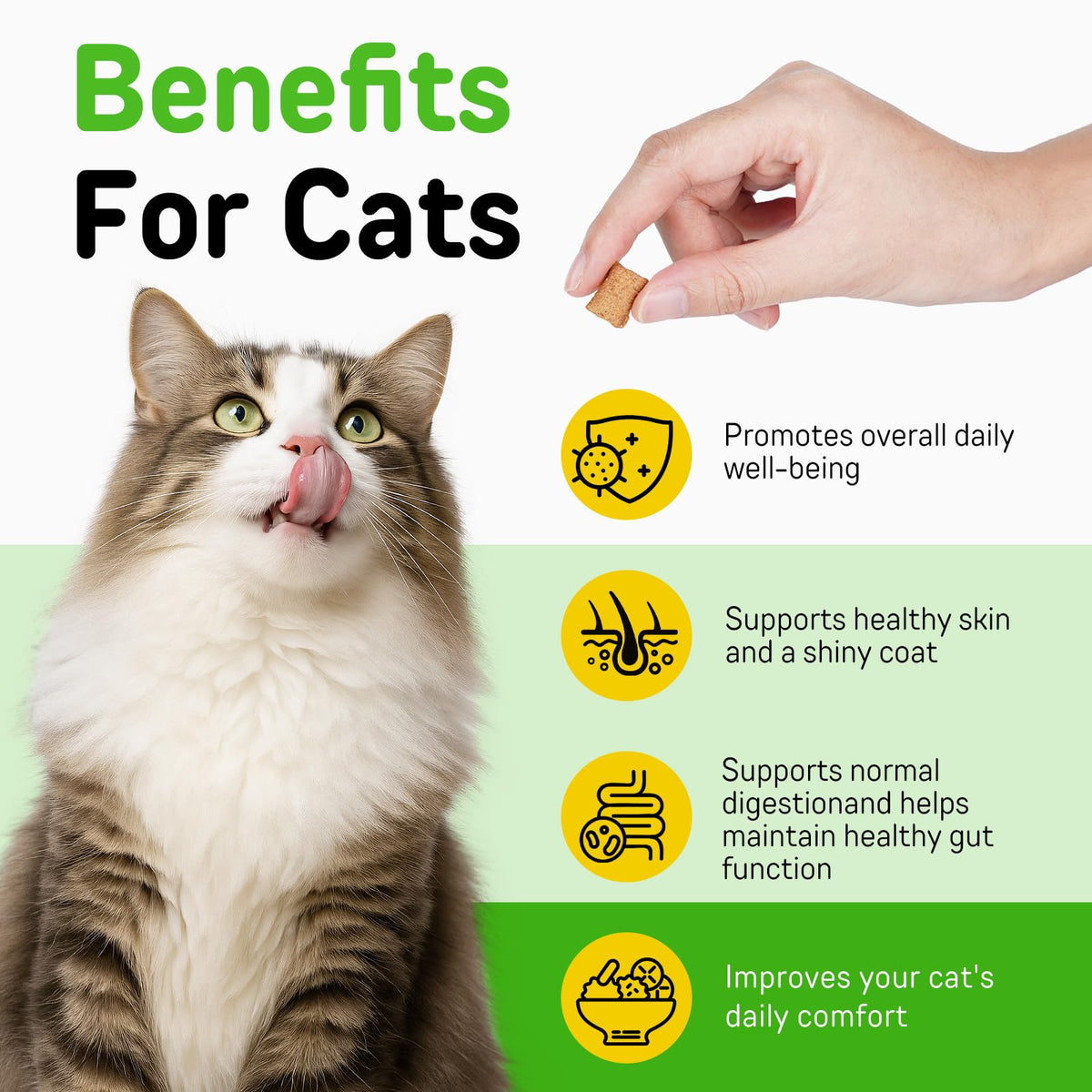 Chicken Flavor Hairball Treatment for Cats O685490