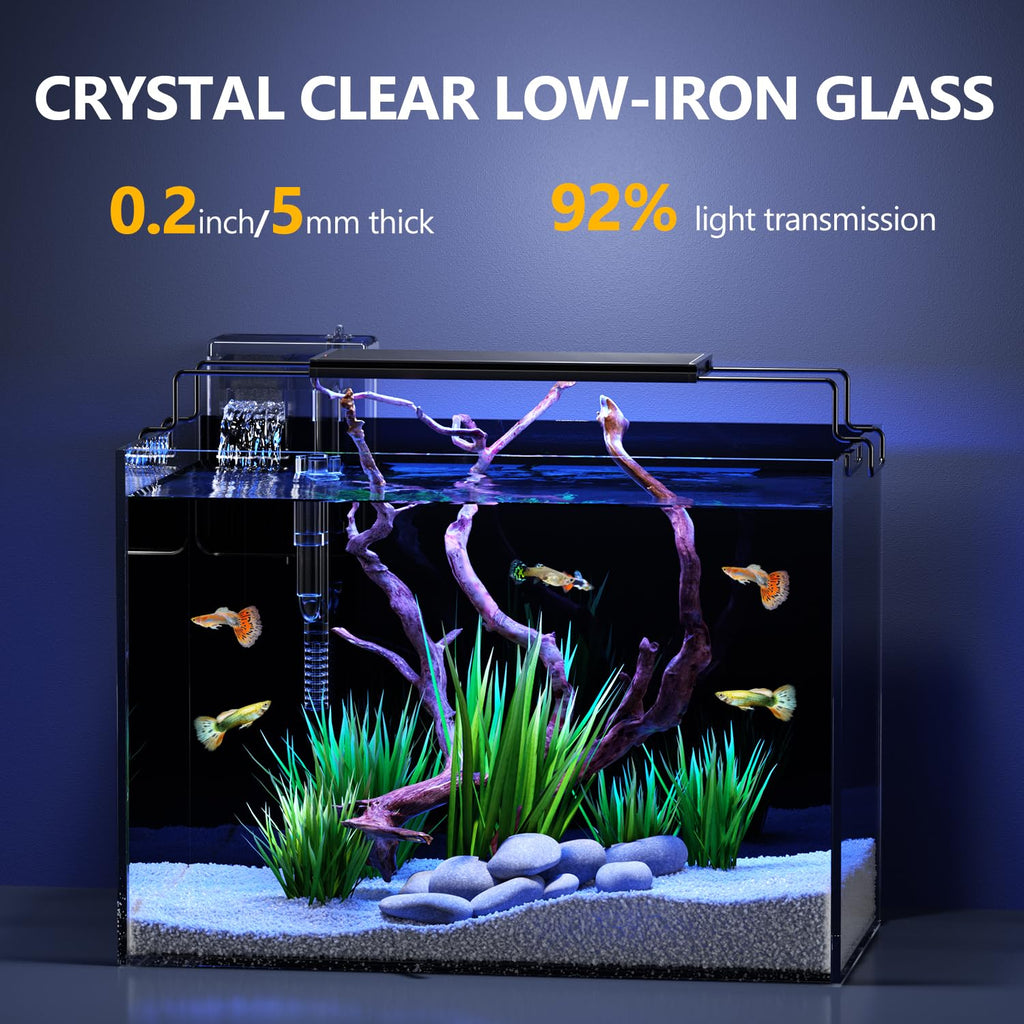 5 Gallon Glass Fish Tank Kit with Filter Light R9211