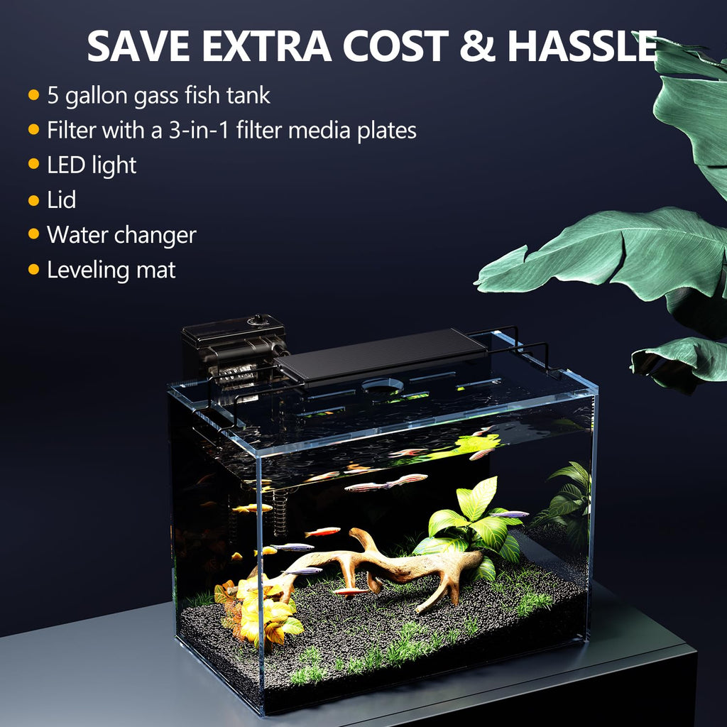 5 Gallon Glass Fish Tank Kit with Filter Light R9211