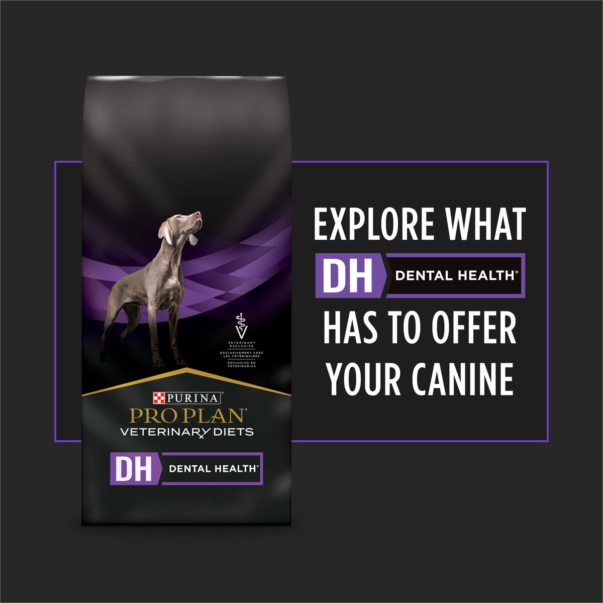 Dog Treats 5 oz Q346208