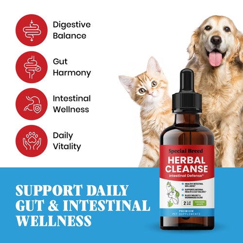 2 oz Herbal Cleanse for Dogs & Cats L688