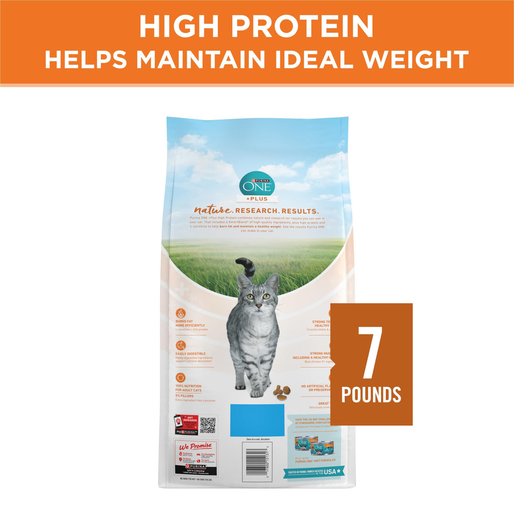 High Protein Dry Cat Food, 7 lb Bag V1982
