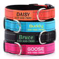 Personalized Dog Collars for Small Medium Dogs G686025