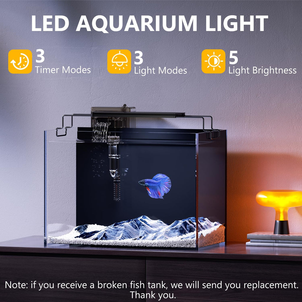 5 Gallon Glass Fish Tank Kit with Filter Light R9211