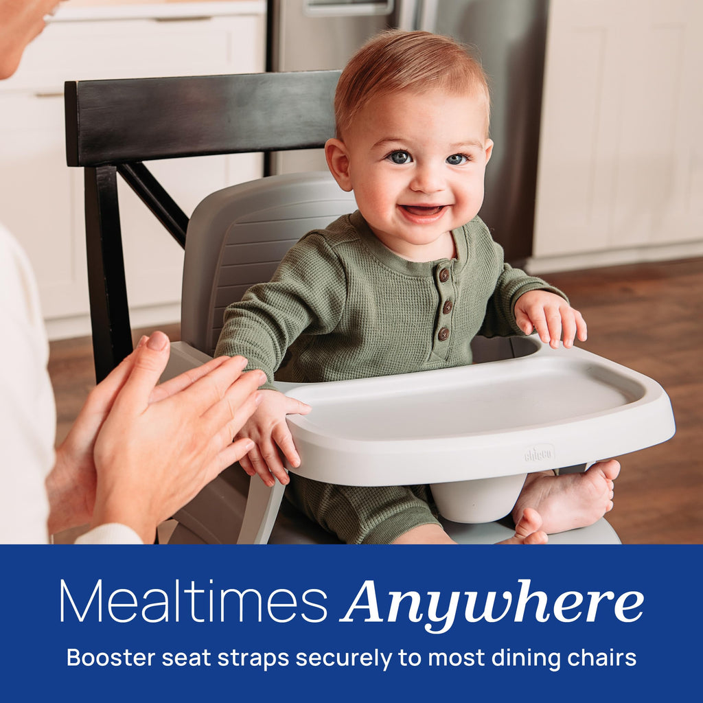 3-in-1 Portable Booster Seat Y7608