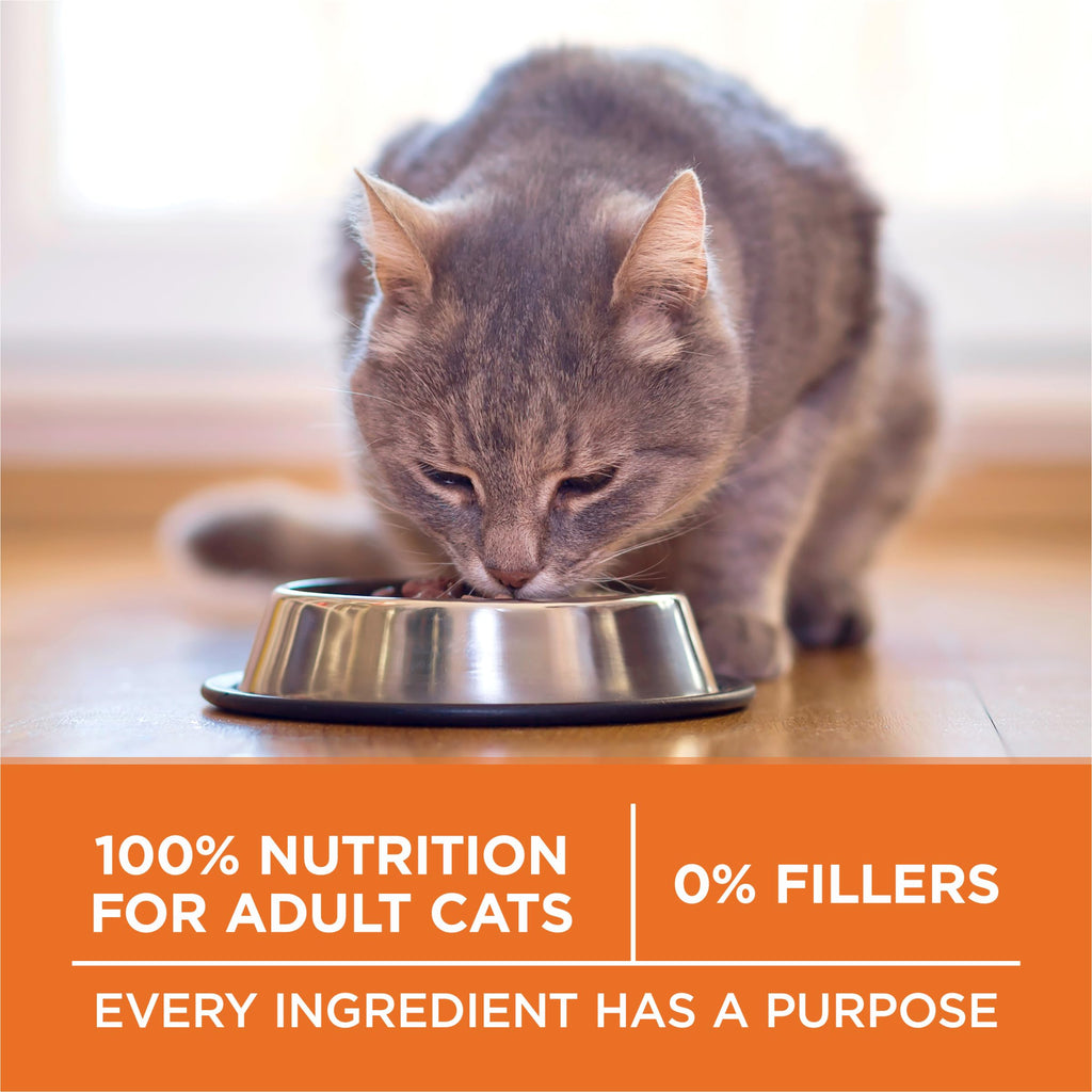 High Protein Dry Cat Food, 7 lb Bag V1982