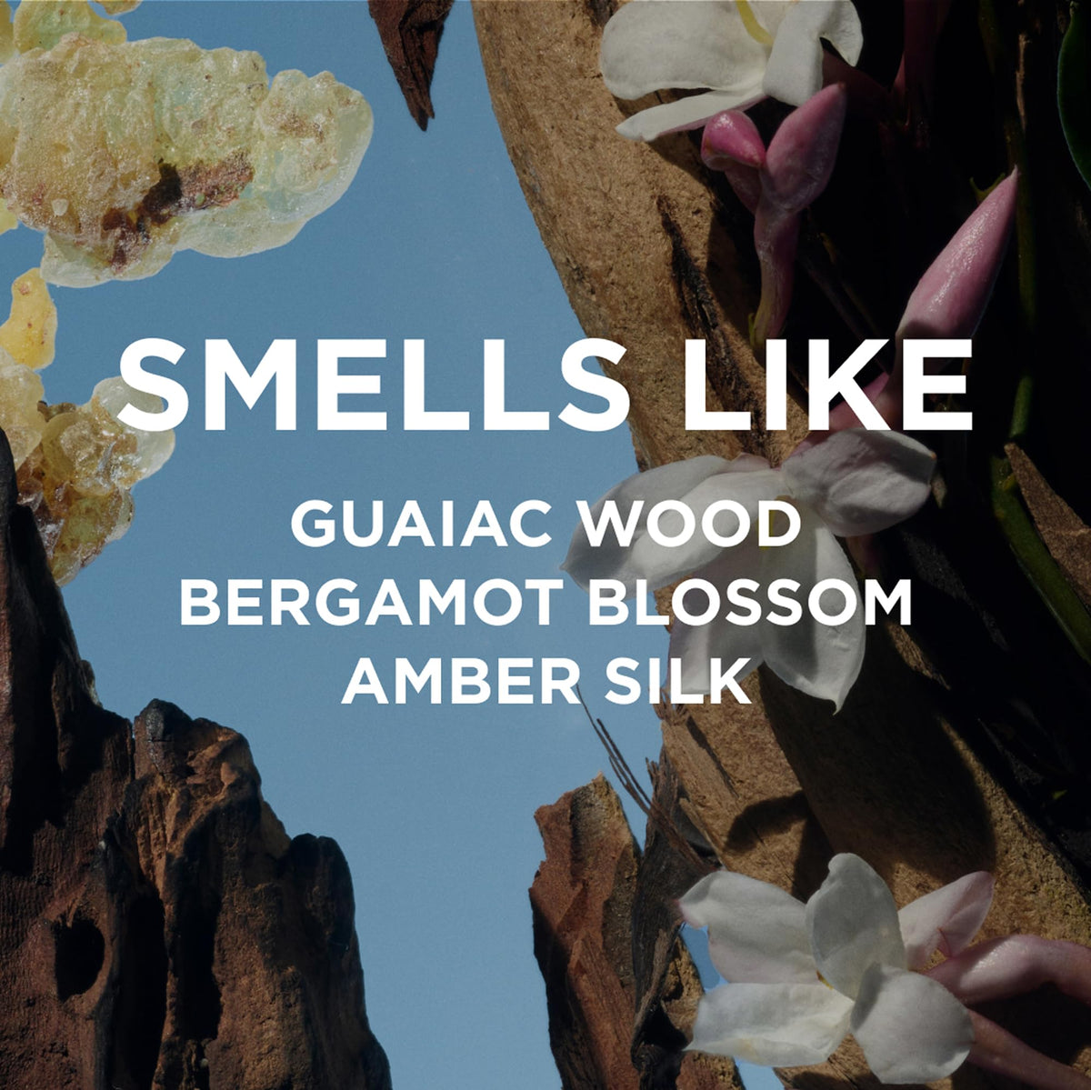 Travel Size Roll On Perfume Oil 7ml P140494