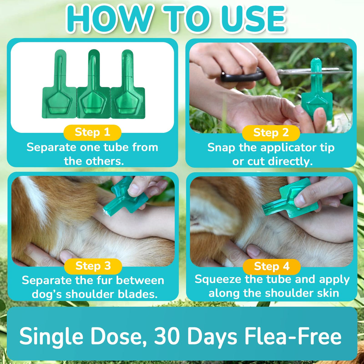 Flea and Tick Prevention for Medium Dogs O98400