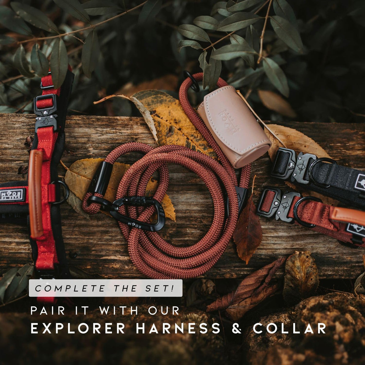 Climbing Rope Leash with Autolocking Carabiner, 6ft A594379