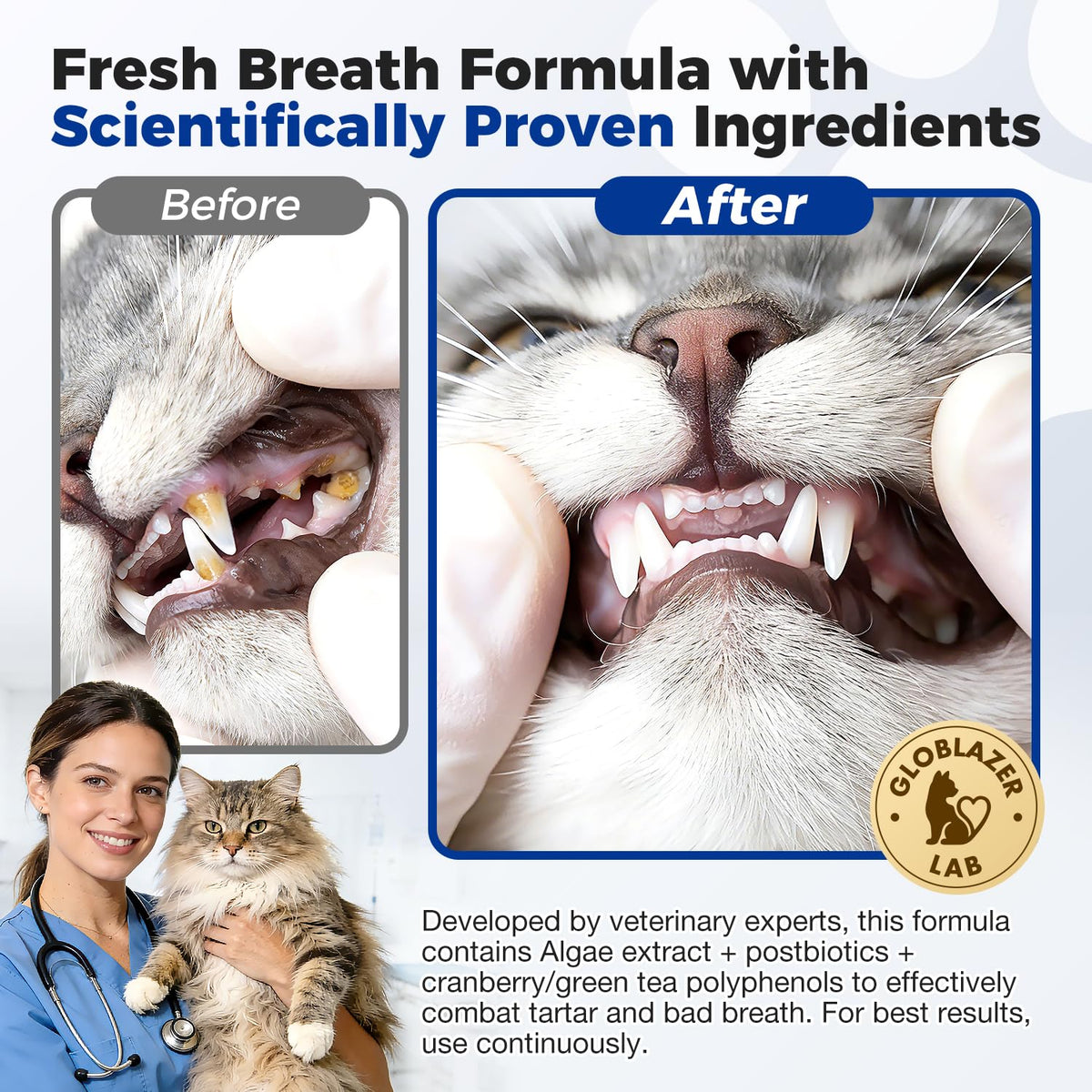 Cat Dental Powder 60 Pcs E79732