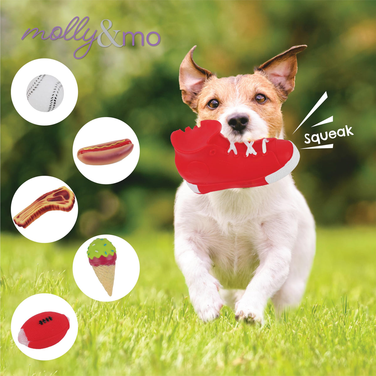Dog Chew Toys Squeaky Assorted Sizes S660317