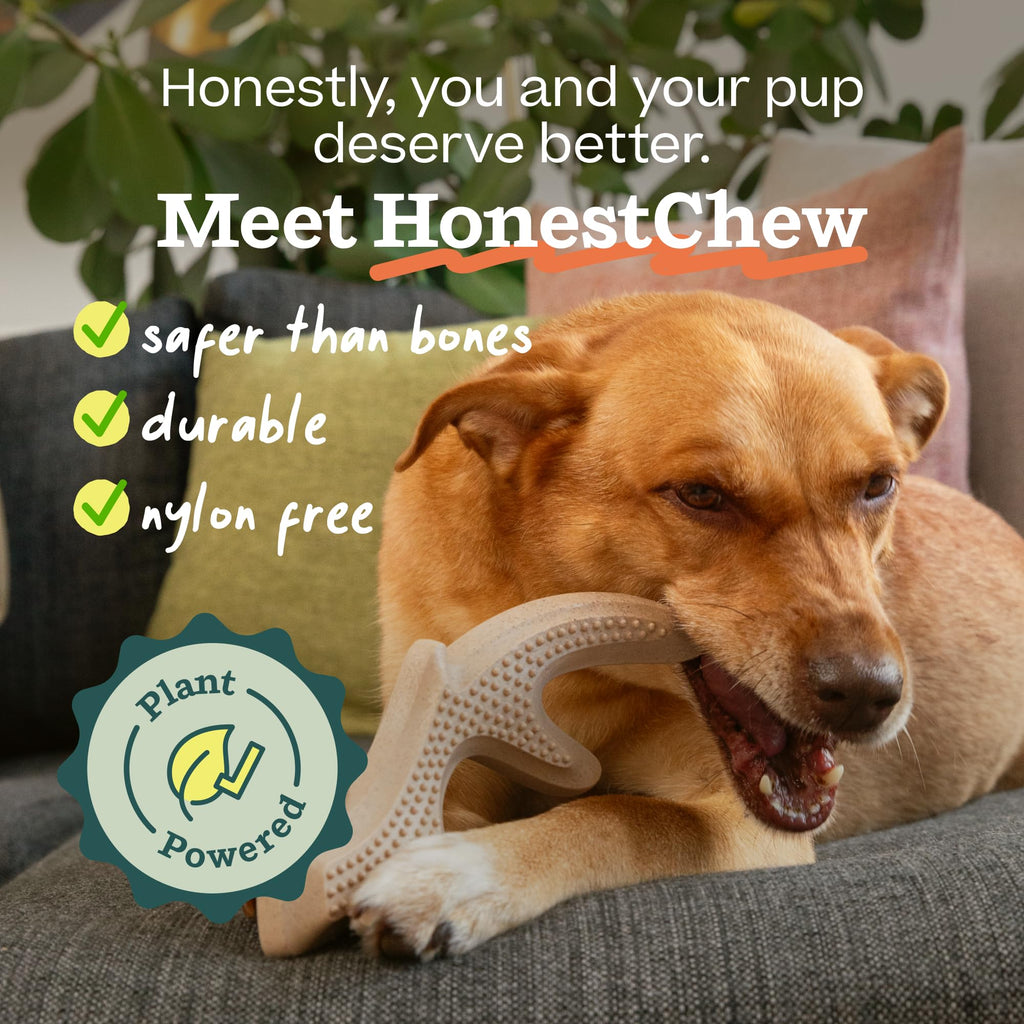 Antler Dog Chew Toy X914