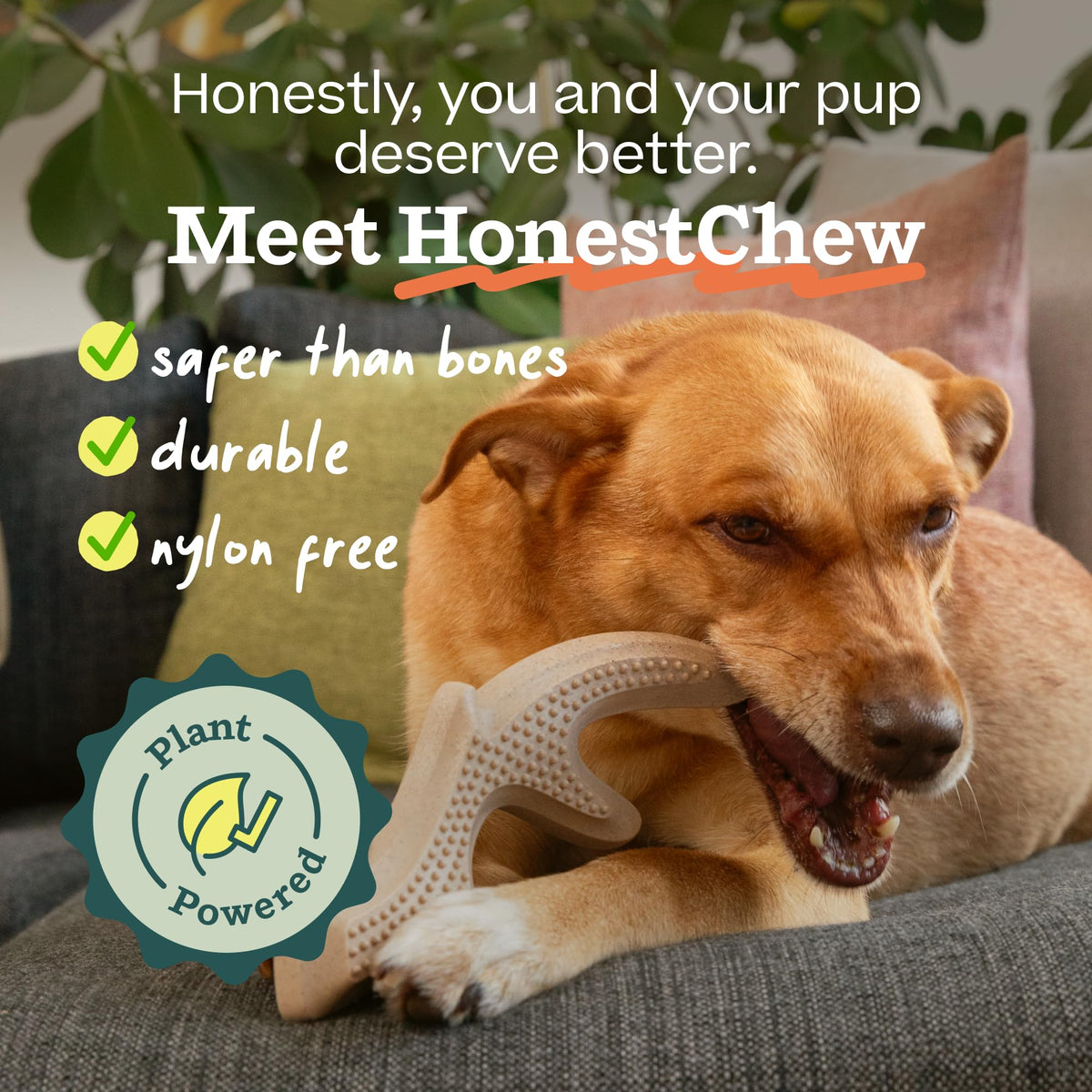 Antler Dog Chew Toy X914
