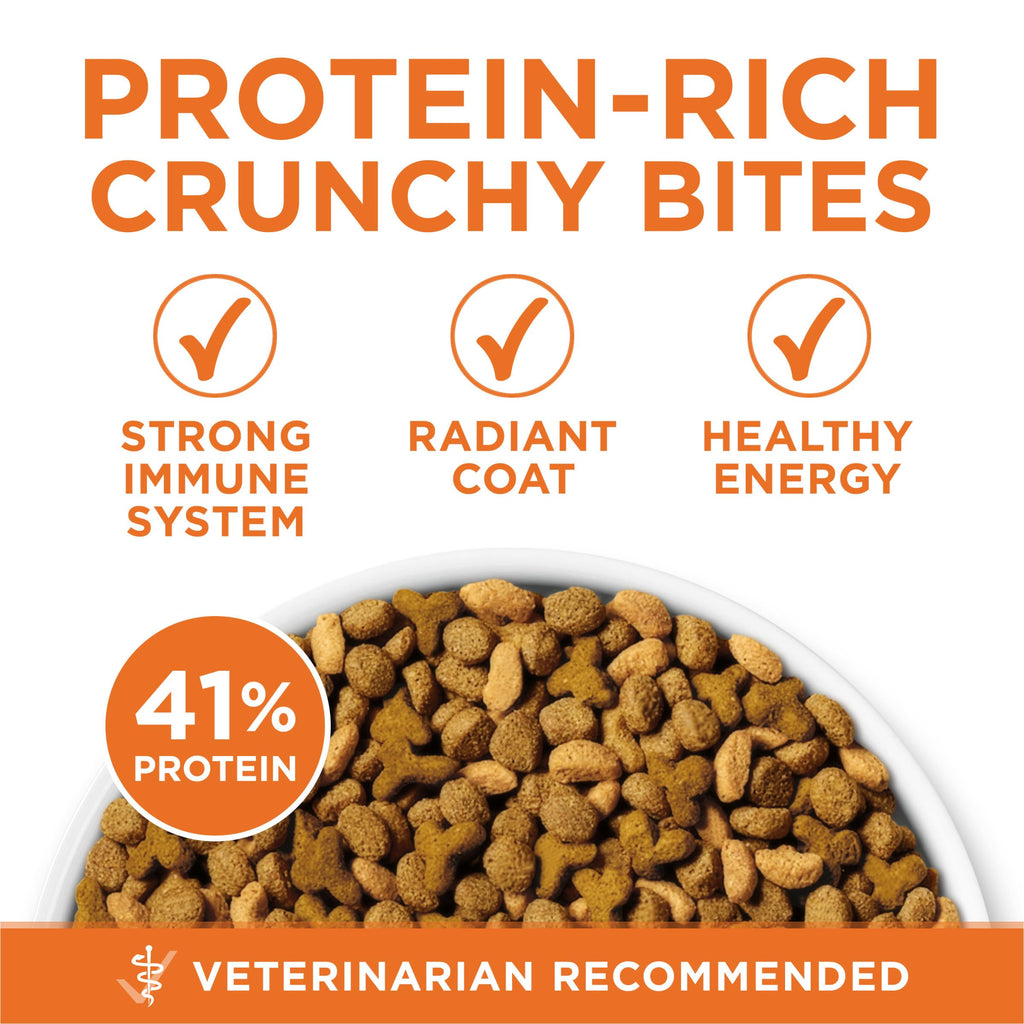High Protein Dry Cat Food, 7 lb Bag V1982